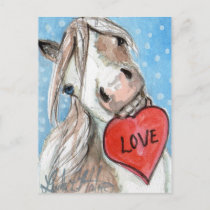 Valentine Pony Postcard Blue Eyed Pinto