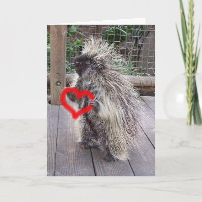 Valentine Porcupine Holiday Card (Front)