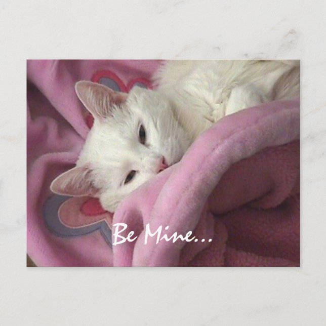 Valentine Post Card (Front)