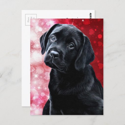 Valentine Puppy - Black Labrador - Lab Puppy Postcard | Zazzle