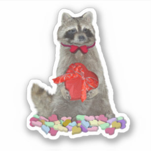 Valentine Raccoon Bandit Sticker
