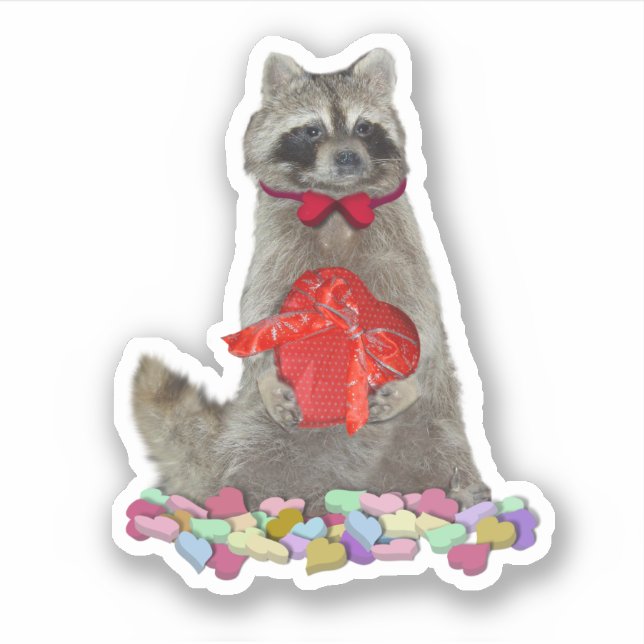 Valentine Raccoon Bandit Sticker (Front)