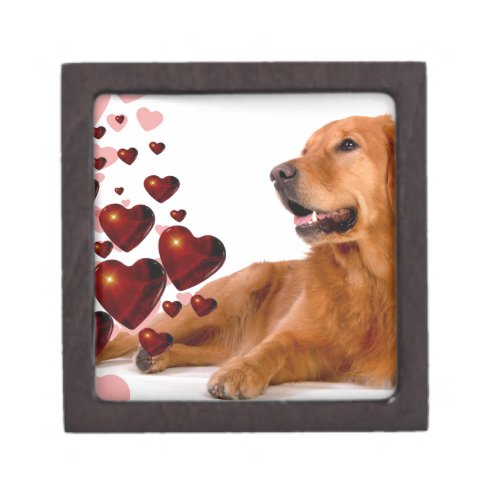 Valentine Red Hearts Golden Retriever Dog Gift Box