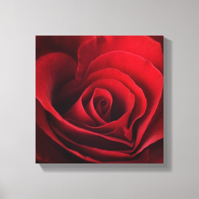 Valentine Red Rose Canvas Print (Front)