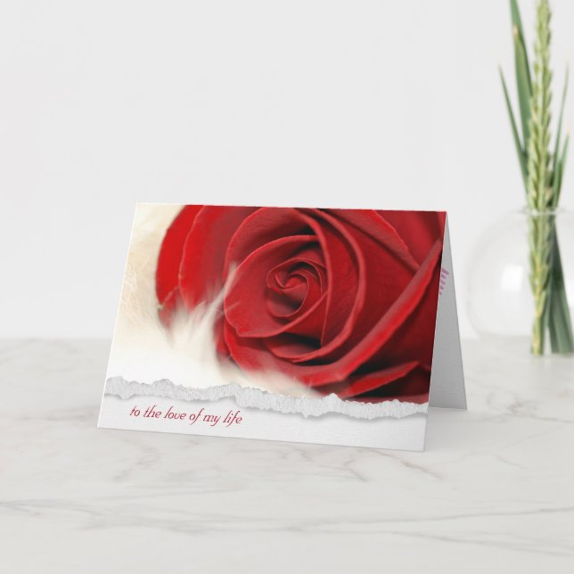 Valentine red rose on fur holiday card (Front)