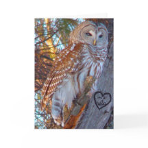 Valentine, Romance,Funny, Humor Owl --ME + WHO