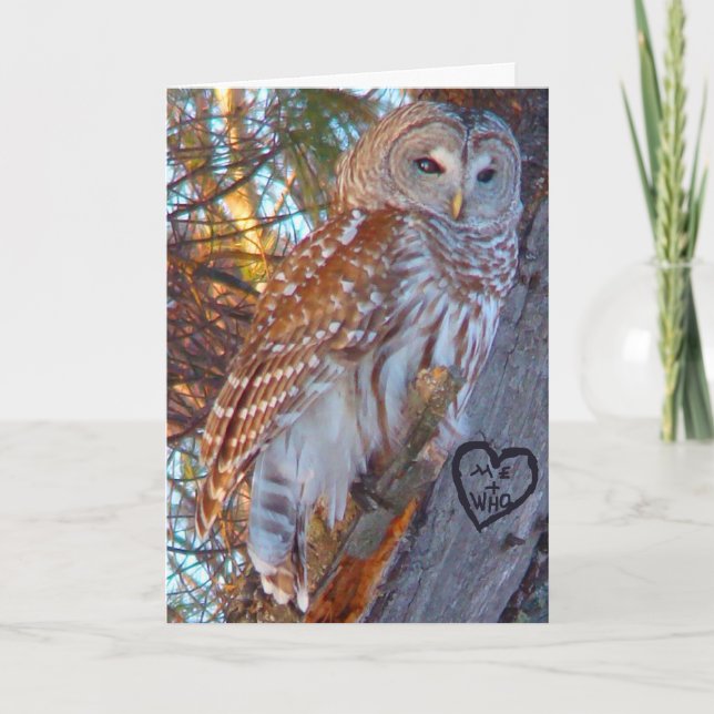 Valentine, Romance,Funny, Humor Owl --ME + WHO Holiday Card (Front)