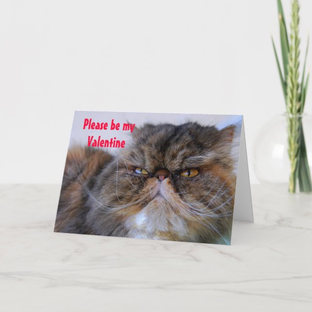 Valentine Romantic Calico Persian Kitty Card (Front)
