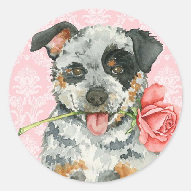 Valentine Rose ACD Classic Round Sticker (Front)
