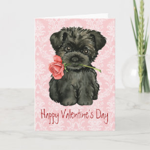 Valentine Rose Affenpinscher Holiday Card