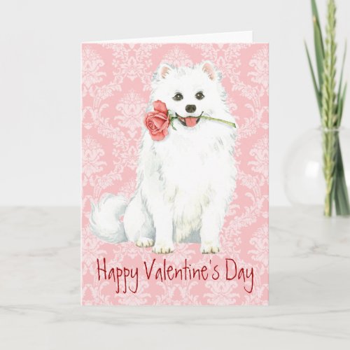 Valentine Rose American Eskimo Dog Holiday Card