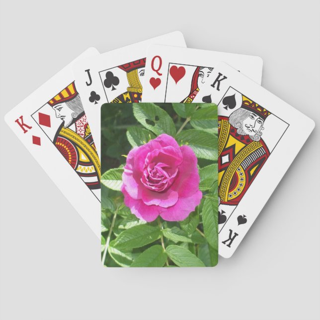 Valentine Rose Bicycle Playing Cards (Back)