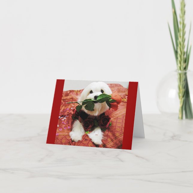 Valentine Rose (blank inside) Holiday Card (Front)