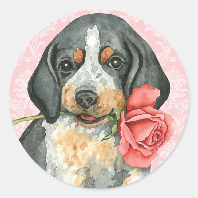 Valentine Rose Bluetick Classic Round Sticker (Front)