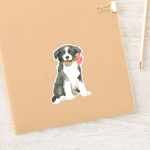 Valentine Rose Border Collie Vinyl Sticker