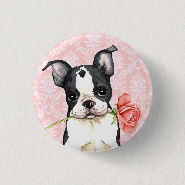 Valentine Rose Boston Terrier Button (Front)