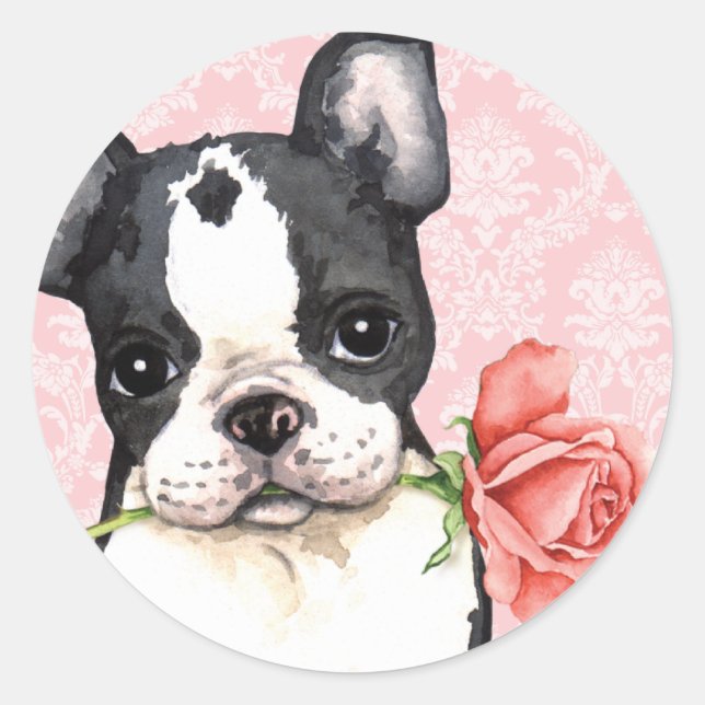 Valentine Rose Boston Terrier Classic Round Sticker (Front)