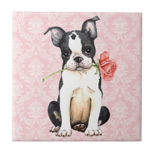 Valentine Rose Boston Terrier Tile