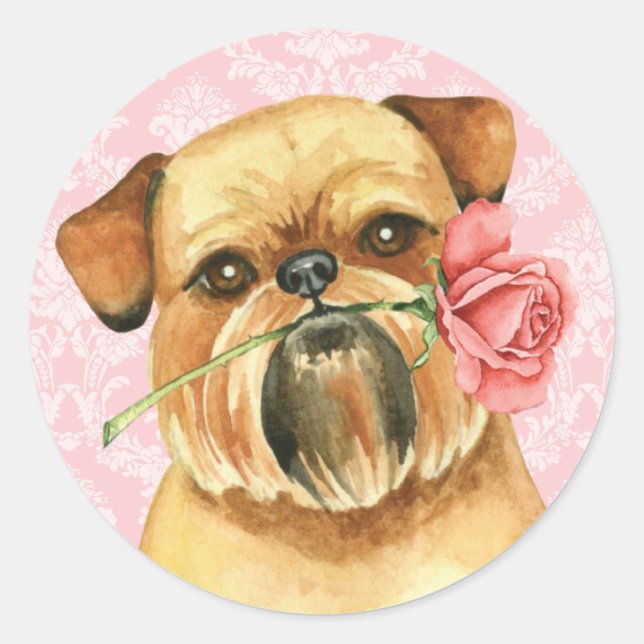 Valentine Rose Brussels Griffon Classic Round Sticker (Front)