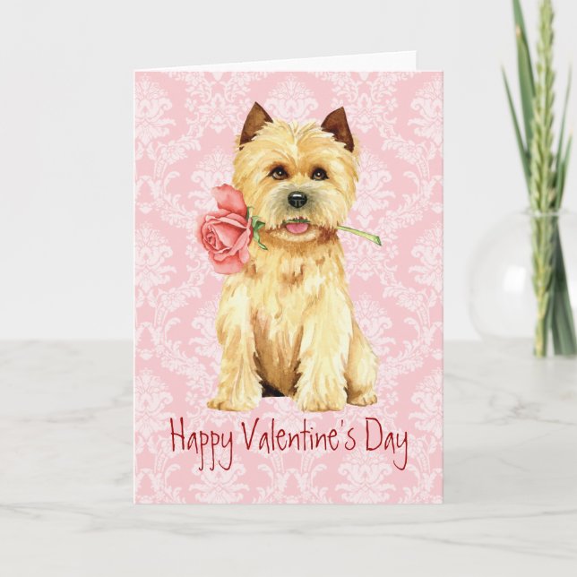 Valentine Rose Cairn Terrier Holiday Card (Front)