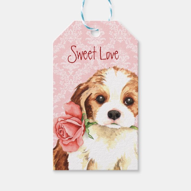 Valentine Rose Cavalier Gift Tags (Front)