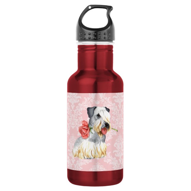Valentine Rose Cesky Terrier Water Bottle (Front)