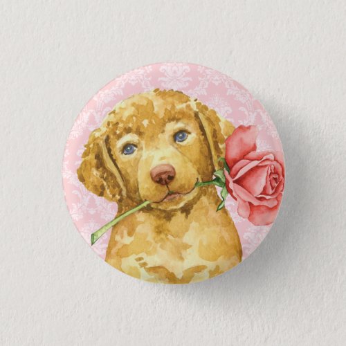 Valentine Rose Chesapeake Bay Retriever Button