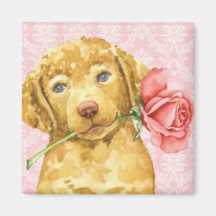 Valentine Rose Chesapeake Bay Retriever Magnet