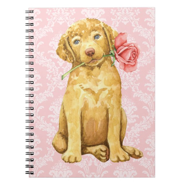 Valentine Rose Chesapeake Bay Retriever Notebook (Front)