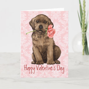 Valentine Rose Chocolate Lab Holiday Card
