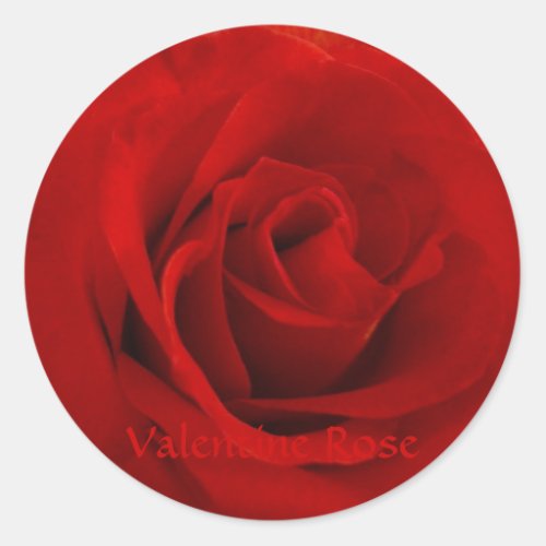 Valentine Rose Classic Round Sticker