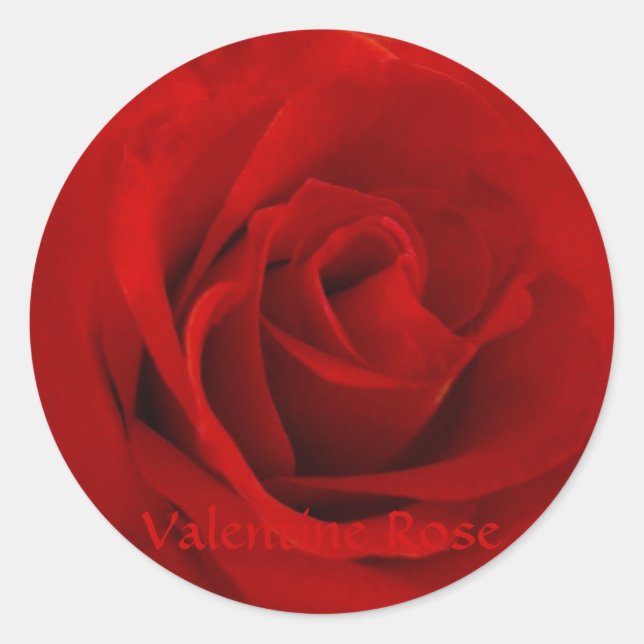 Valentine Rose Classic Round Sticker (Front)
