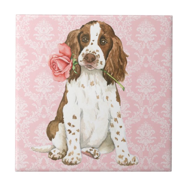 Valentine Rose English Springer Ceramic Tile (Front)