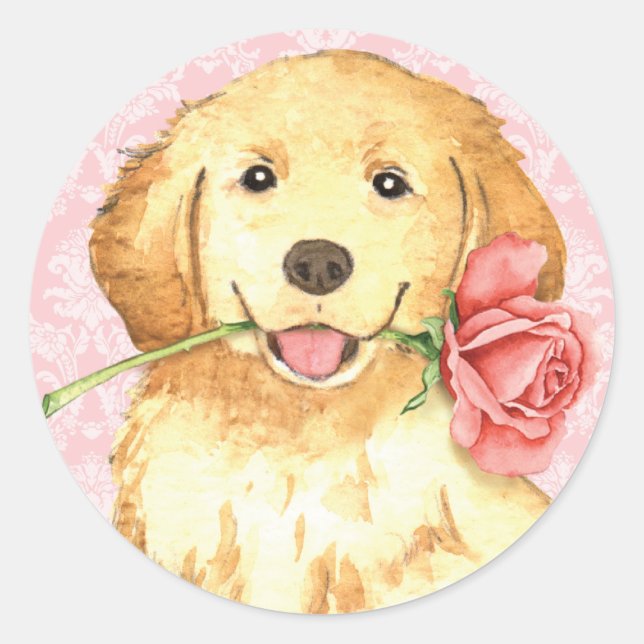 Valentine Rose Golden Retriever Classic Round Sticker (Front)