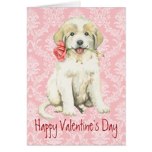 Valentine Rose Great Pyrenees