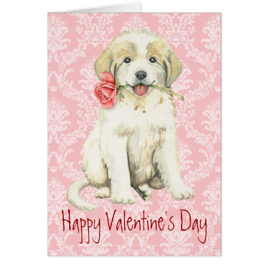 Valentine Rose Great Pyrenees (Front)