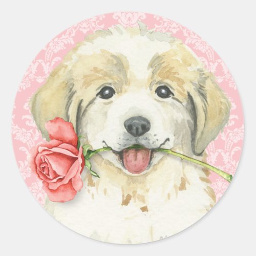 Valentine Rose Great Pyrenees Classic Round Sticker