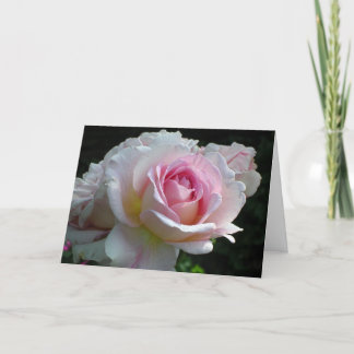 Valentine Rose Holiday Card