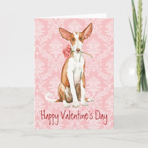 Valentine Rose Ibizan Hound Holiday Card