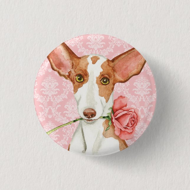 Valentine Rose Ibizan Hound Pinback Button (Front)