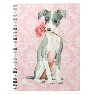Valentine Rose Italian Greyhound Notebook