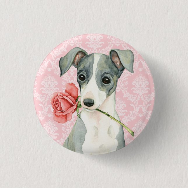 Valentine Rose Italian Greyhound Pinback Button (Front)