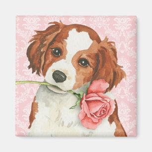 Valentine Rose Kooiker Magnet