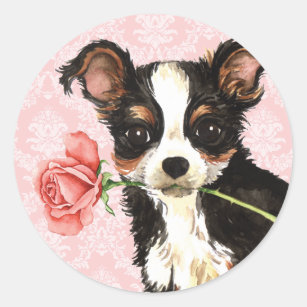 Valentine Rose Long Coat Chihuahua Classic Round Sticker