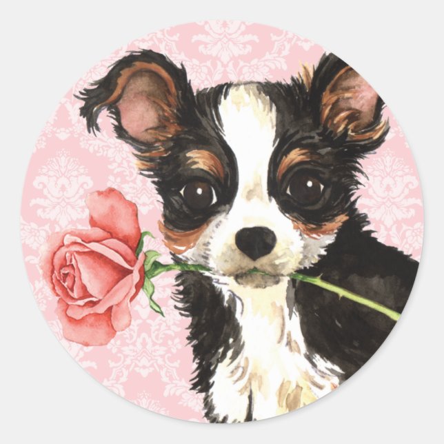 Valentine Rose Long Coat Chihuahua Classic Round Sticker (Front)