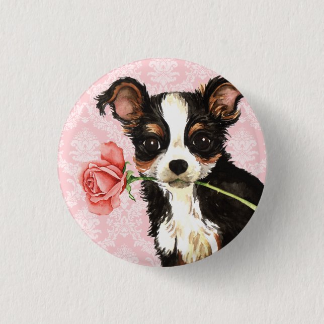 Valentine Rose Long Coat Chihuahua Pinback Button (Front)