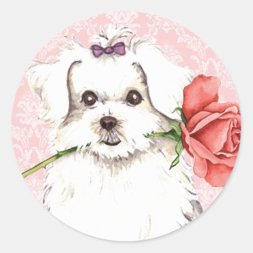 Valentine Rose Maltese Classic Round Sticker