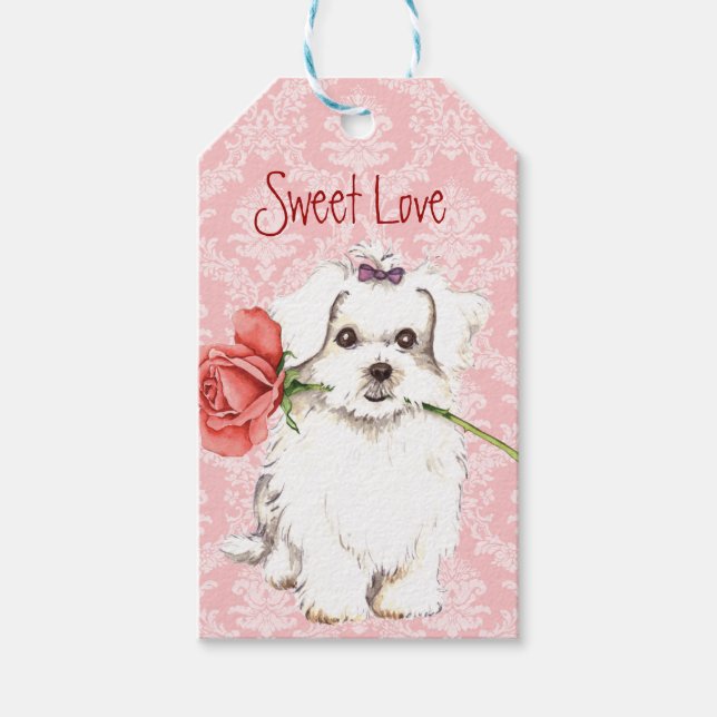 Valentine Rose Maltese Gift Tags (Front)
