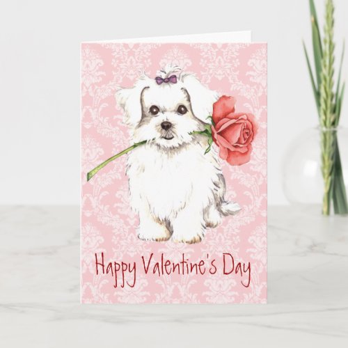 Valentine Rose Maltese Holiday Card