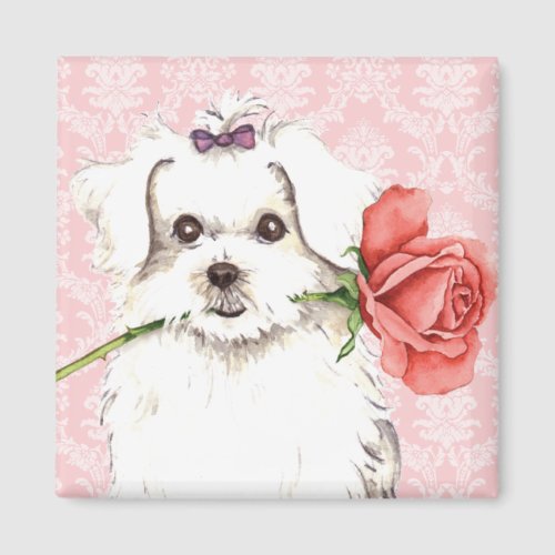 Valentine Rose Maltese Magnet